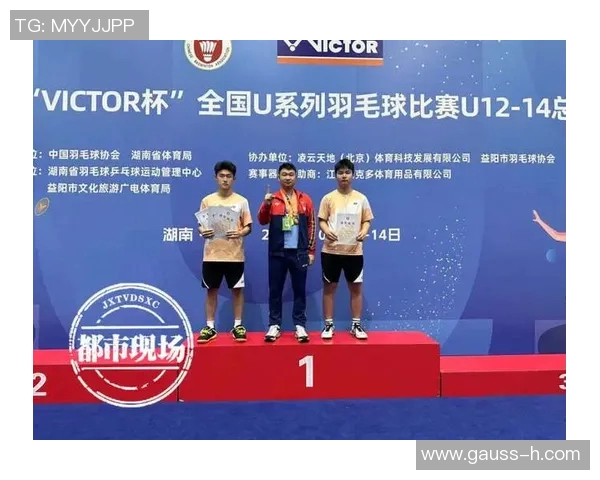 深圳羽毛球队与重庆羽毛球队耐力对决赛后分析与反思