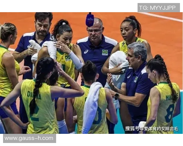 广州排球队意识对比深度解析与战术影响探讨