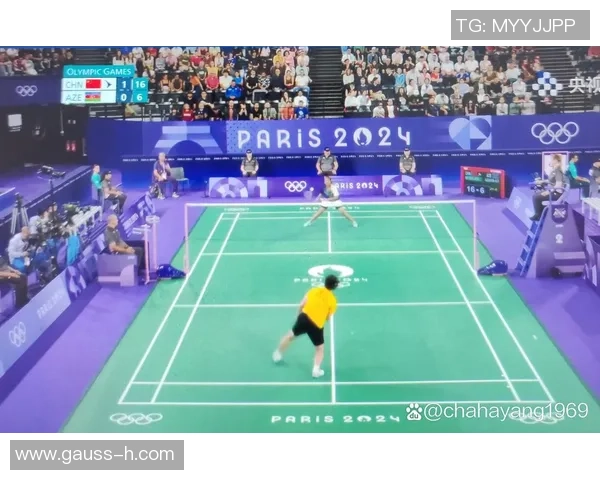 羽毛球耐力排行榜揭晓北京羽毛球队荣获第七名成绩引关注