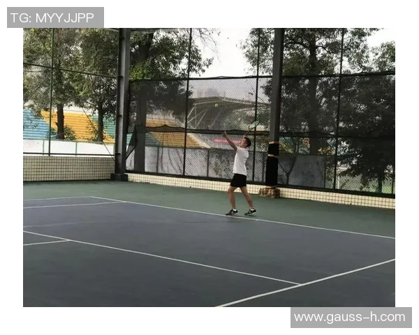 成都网球队状态对比深度解析与未来展望