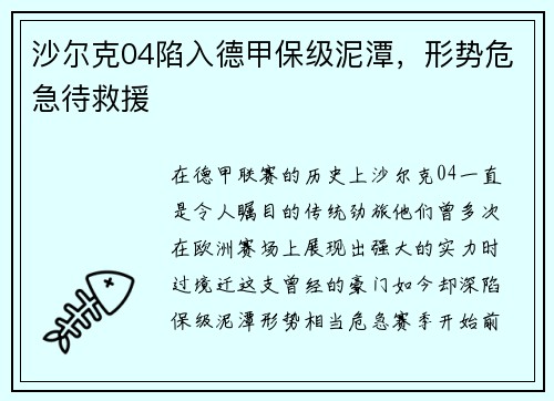 沙尔克04陷入德甲保级泥潭，形势危急待救援