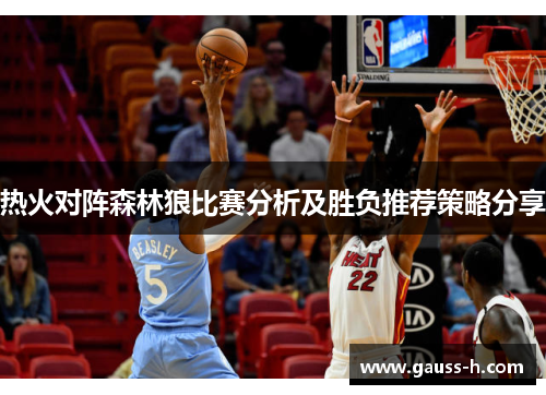 热火对阵森林狼比赛分析及胜负推荐策略分享